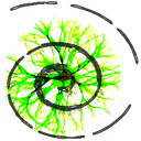 3delite MP4 Stream Editor 3.4.5.4140