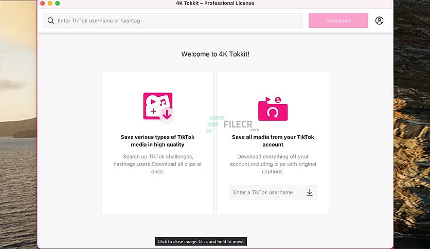 4K Tokkit Pro 25.4.2