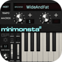 GForce Minimonsta2 v1.0.2