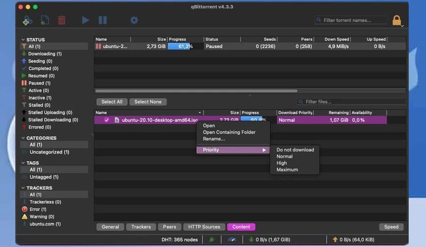 qBittorrent 5.0.5