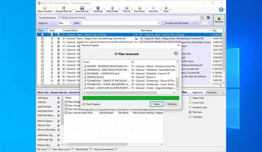 Rons Renamer 2024.9.29.1253
