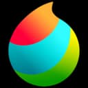 MediBang Paint Pro 29.1