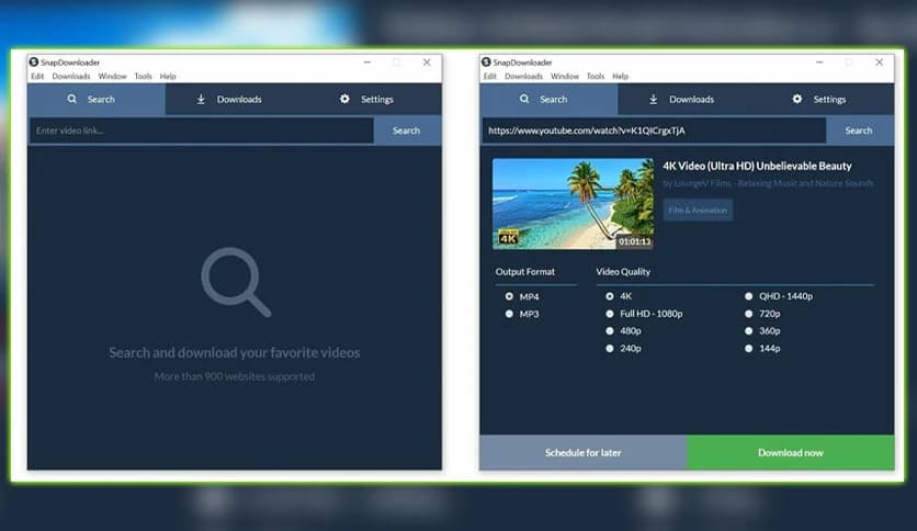 SnapDownloader 1.15.36