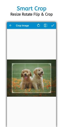 Image Converter Pro 4.5.5