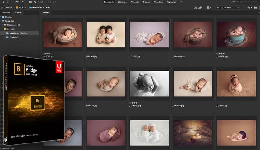 Adobe Bridge 2026 v16.0.1