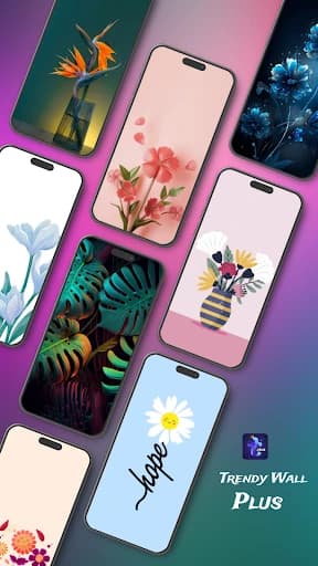 Trendy Wall Plus 6.0