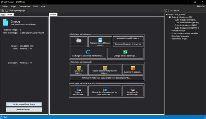 DISMTools 0.7.3.260201