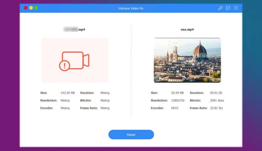 Vidmore Video Fix 1.0.12