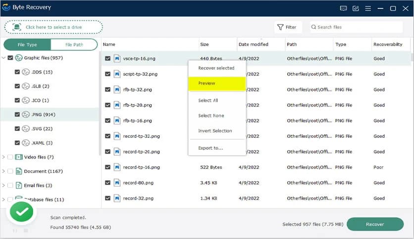 Byte Recovery 1.2.2.193