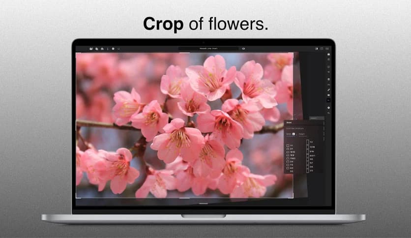 Mossaik XDR Pro 2.3.30