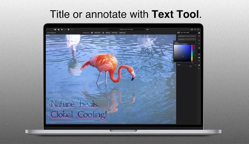 Mossaik XDR Pro 2.3.30