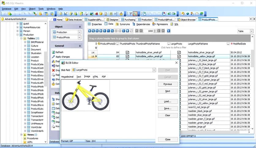 MS SQL Maestro 25.12.0.1