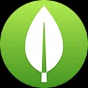 MongoDB Desktop 8.0.5-build.1