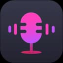 ViWizard Audio Capture 2.6.0