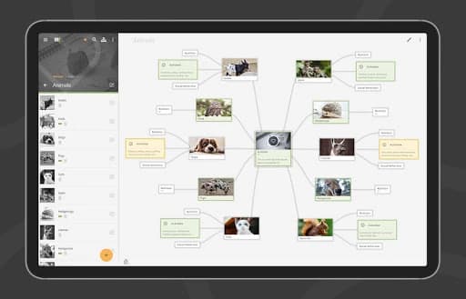 Mindz – Mind Mapping (Pro) 1.4.22