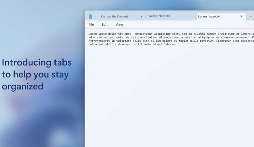 Microsoft Windows Notepad 11.2405.13.0