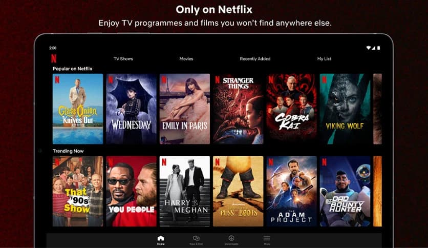 Netflix For Windows