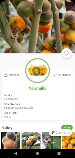 Herbs Encyclopedia 2.10.9