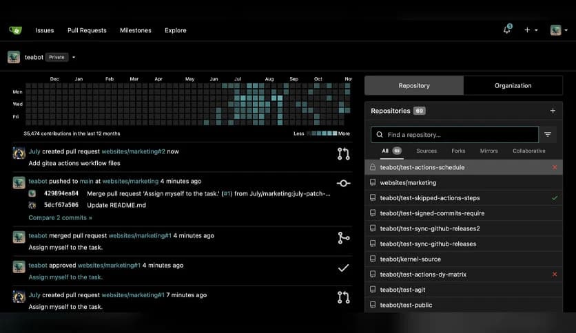Gitea Enterprise 24.8.0