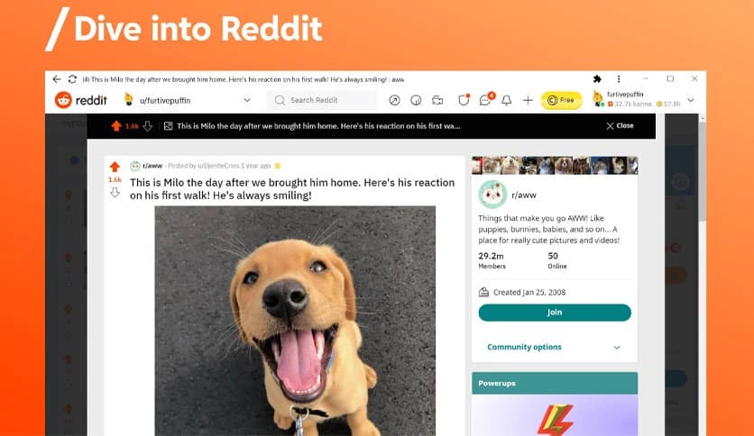 Reddit For Windows