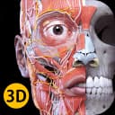 Anatomy 3D Atlas