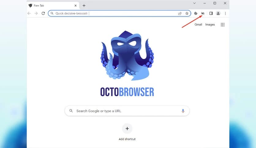 Octo Browser