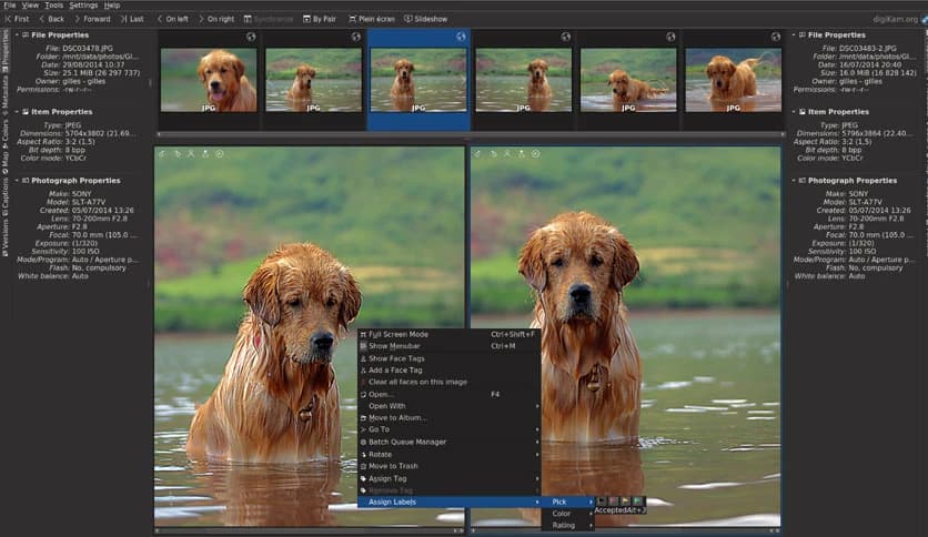 digiKam 8.8.0