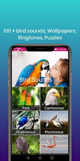 100 Bird sounds 32.0