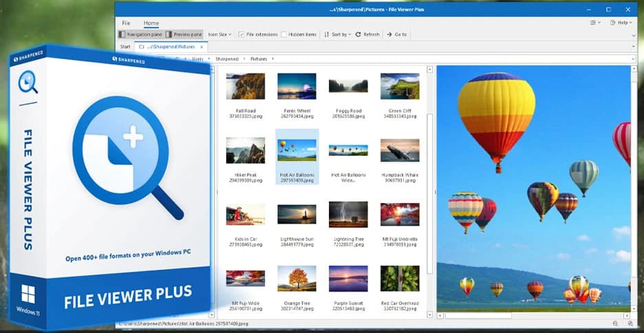 File Viewer Plus 6.2.0.80