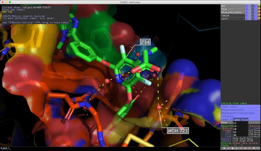 Schrodinger PyMOL 3.1.1