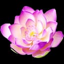 NamFarmers: Social Agri App 1.0.120