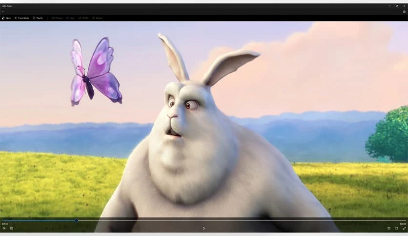 ZOTOS APPS Delta Player