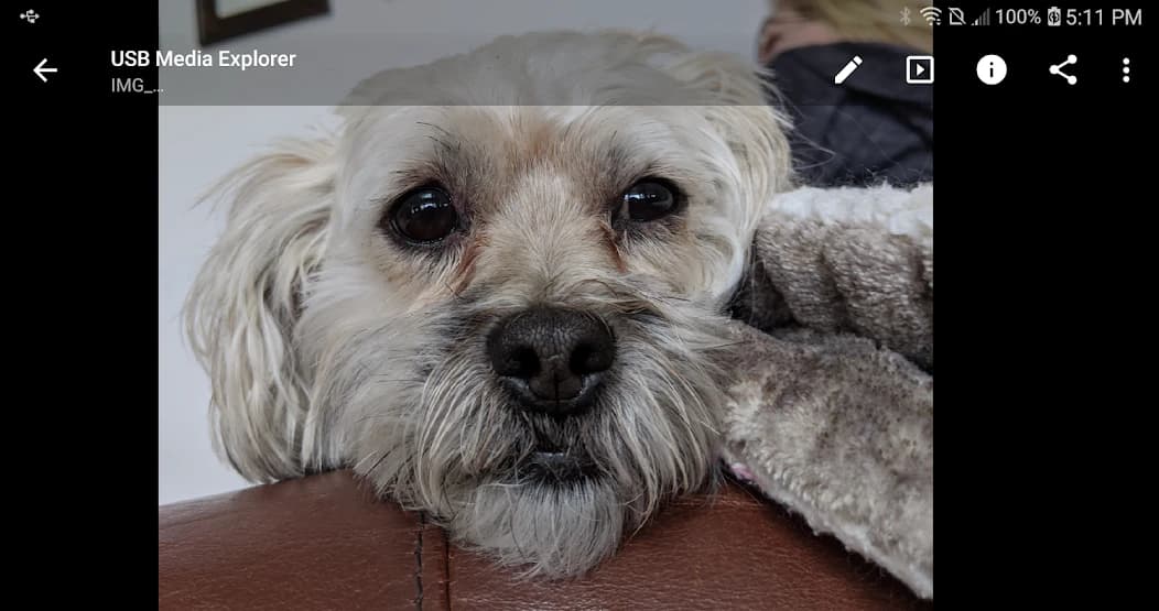 USB Media Explorer 11.4.2