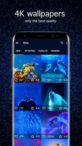 Blue Wallpapers 4K 5.7.91
