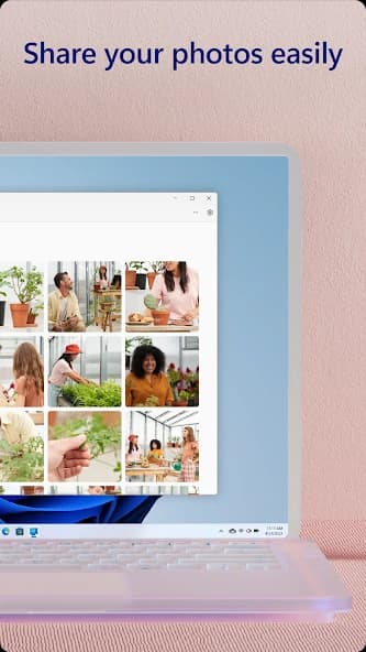 Link to Windows 1.24062.153.0