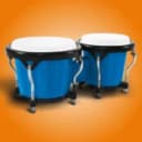 Congas & Bongos: percussions 8.41.2