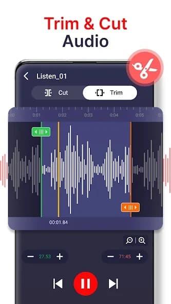 voice recorder 87.1