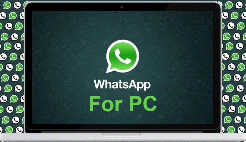 WhatsApp for Windows 2.2587.10.0