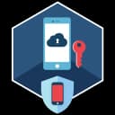 SmartPhone Forensic System Professional 6.137.2403.2916