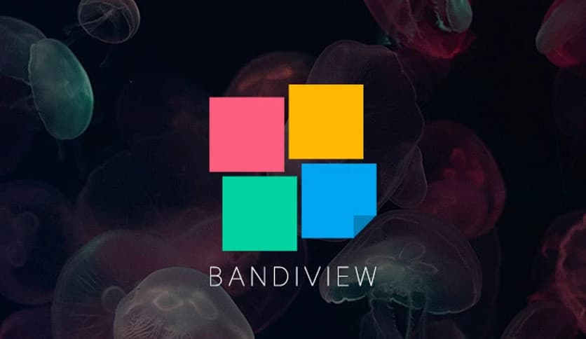 BandiView Pro 7.25