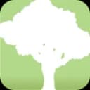 SpeedTree Modeler 10.0.1