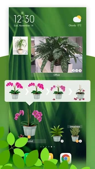 Plant Care Reminder 12.7