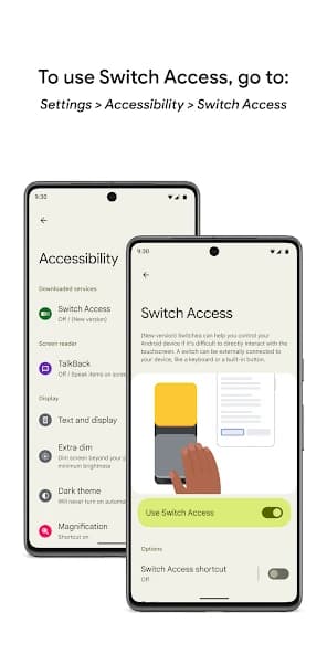 Switch Access 1.15.0.647194712