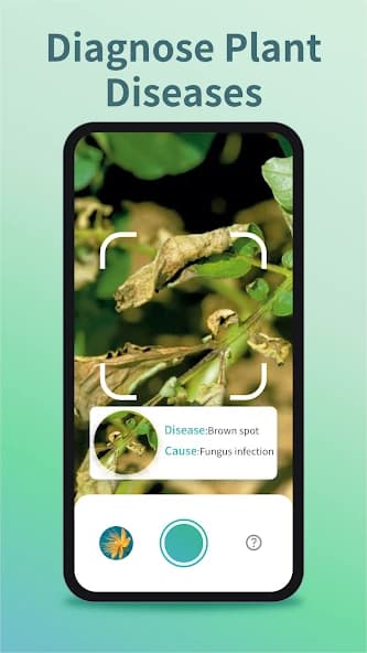 Plant Identifier & Plant Care 1.0.1