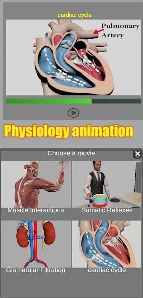 3D Anatomy 6.8