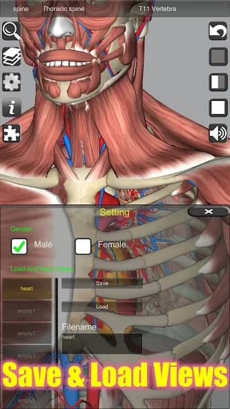 3D Anatomy 6.8