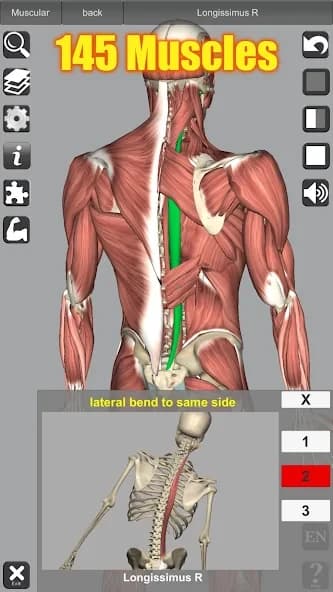 3D Anatomy 6.8