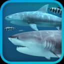 3Planesoft Sharks 3D 2.1.1