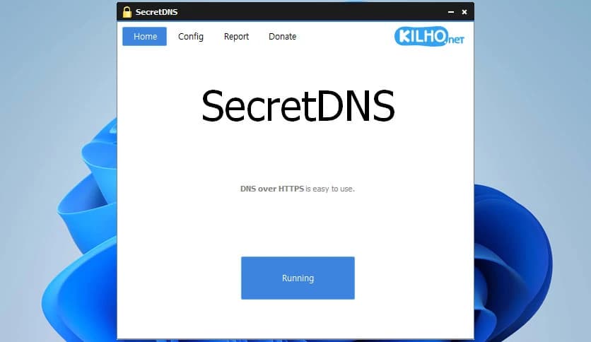 SecretDNS 3.8.5
