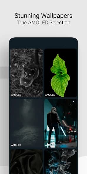 WallPop: Live & 4K Wallpapers 1.1.1